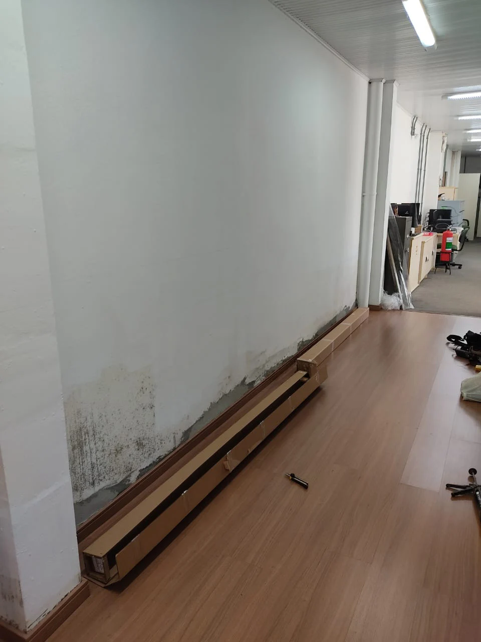 Pared antes de instalar Revyl